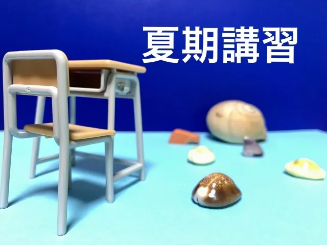 2026.学文塾の夏の個別講習